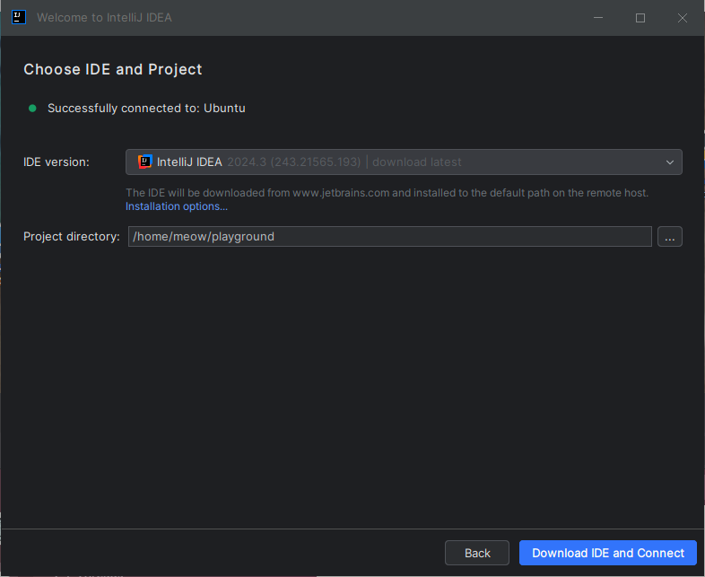 IntelliJ IDEA download and connect to WSL IDE