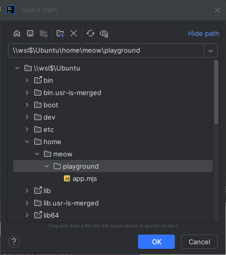 IntelliJ IDEA find project in WSL path