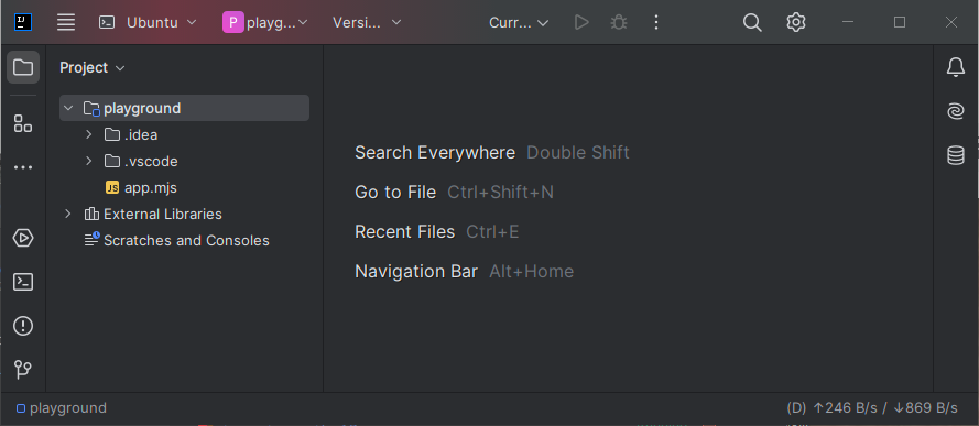 IntelliJ IDEA project is open on WSL